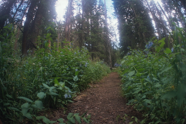 Baker Gulch Trail 7.jpg